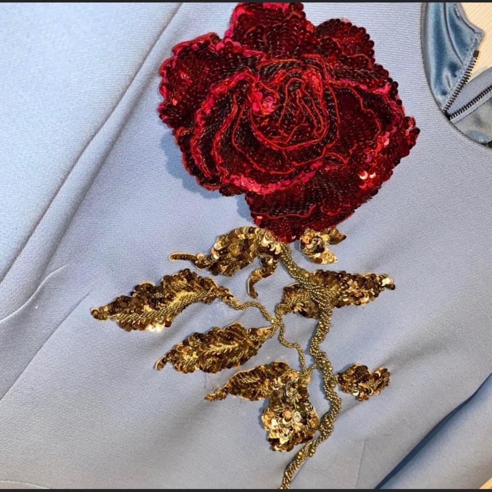 Brand New Dolce Gabbana Baby Blue Runway Embroidered Dress - Picture 2 of 7